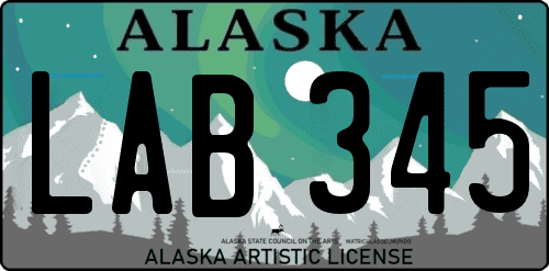 Creador matrícula americana Alaska