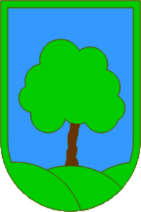 Escudo de Eslovenia de Ravne na Koroškem