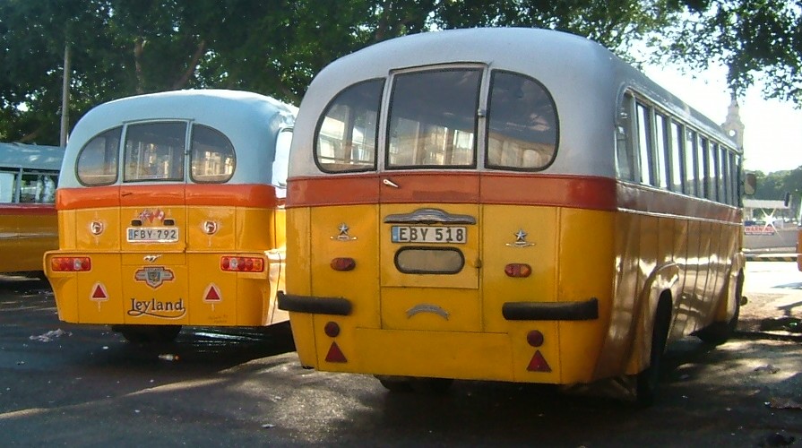 buses