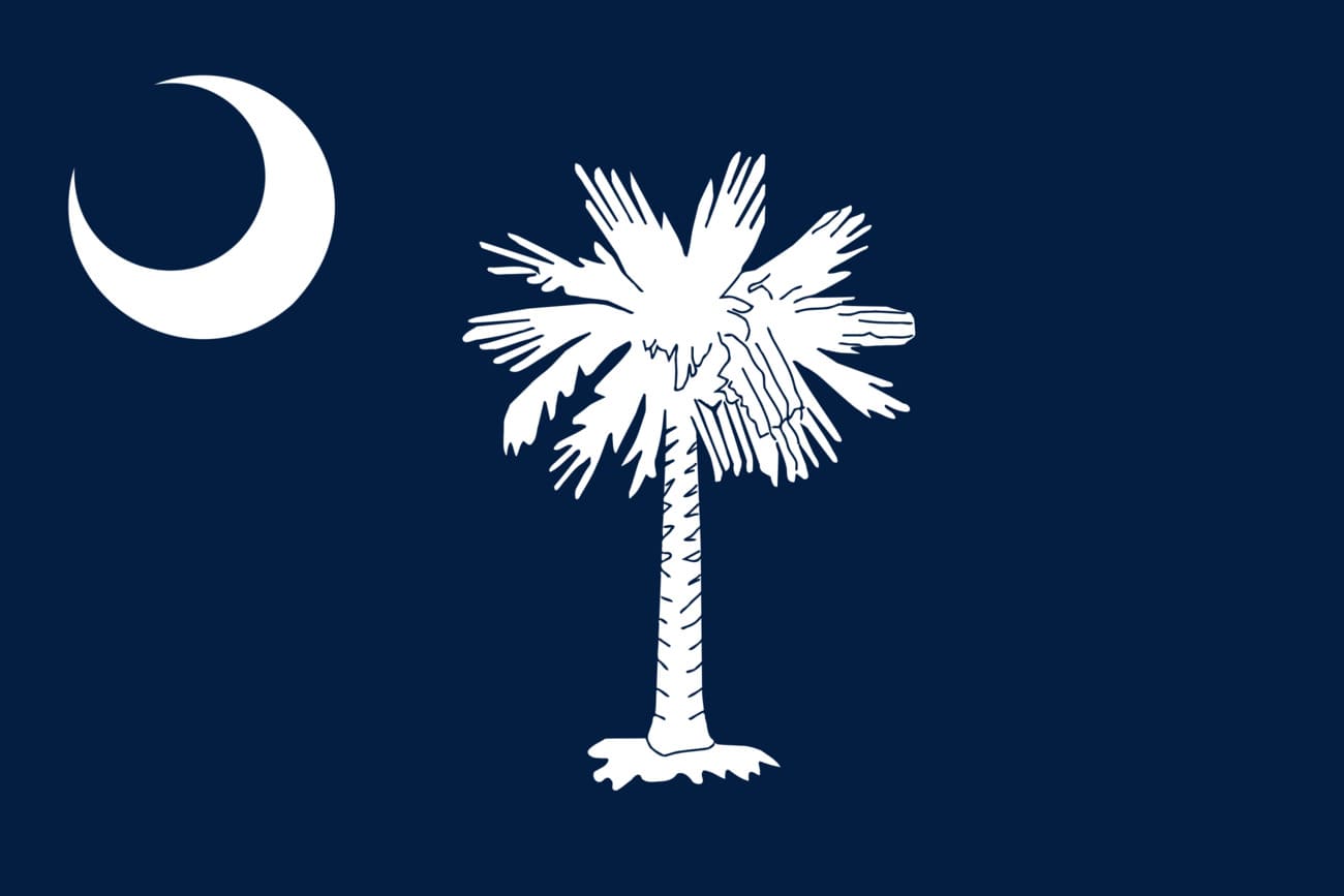 Bandera actual de Carolina del Sur