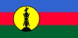 Bandera actual de Nueva Caledonia