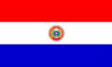 Bandera paraguay matricula