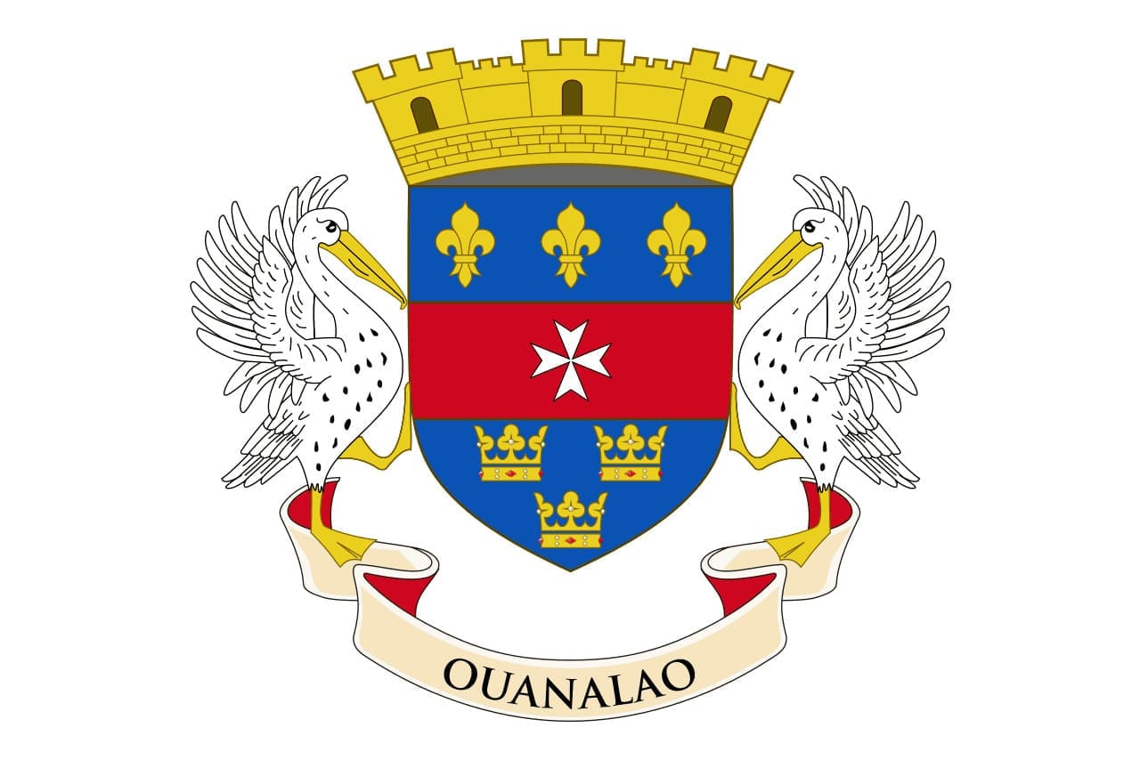 Bandera actual de San Bartolomé