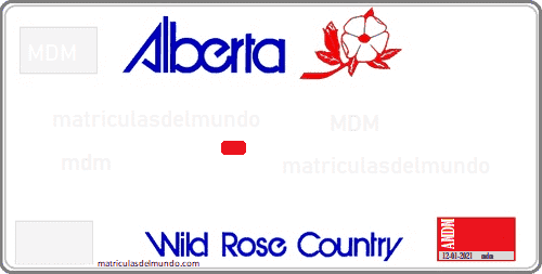 matricula americana de coche de Alberta