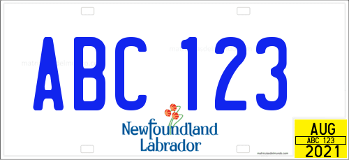 matricula americana de coche de Newfoundland and Labrador, Terranova