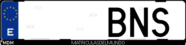 Imágen de matrícula de coche con letras BNS de España