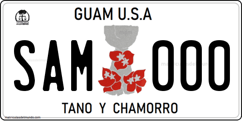 matricula americana de Guam actual de ejemplo