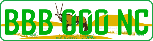 Matrícula de Sudáfrica de Eastern Cape con elefante de fondo