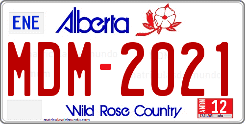 Matrícula de Canadá de Alberta Wild Rose County