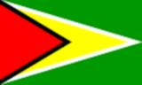 bandera pequeña de Guyana