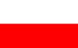bandera pequeña de Polonia