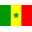 Small falg of Senegal