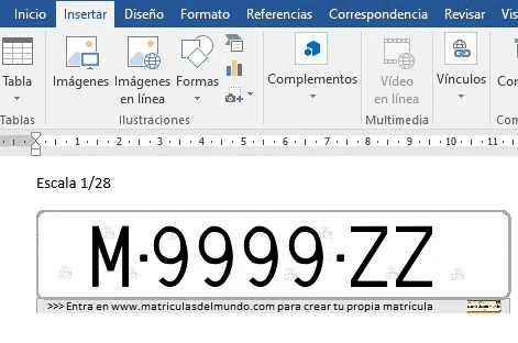 Insert license plate image into program