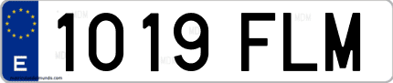 Ejemplo de matrícula de coche ordinaria 1019 FLM
