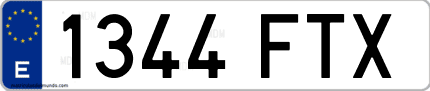 Ejemplo de matrícula de coche ordinaria 1344 FTX