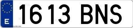 Ejemplo de matrícula española 1613 BNS
