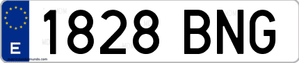 Ejemplo de matrícula de coche ordinaria 1828 BNG