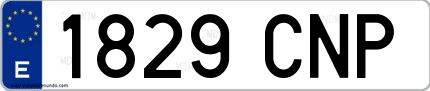 Ejemplo de matrícula española 1829 CNP