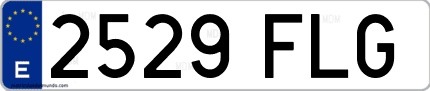 Ejemplo de matrícula de coche ordinaria 2529 FLG