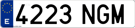 Ejemplo de matrícula de coche ordinaria 4223 NGM