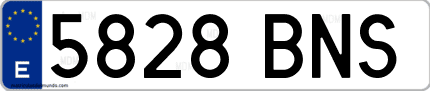 Ejemplo de matrícula de coche ordinaria 5828 BNS