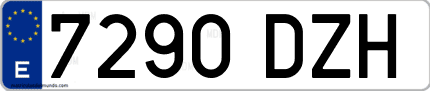 Ejemplo de matrícula de coche ordinaria 7290 DZH