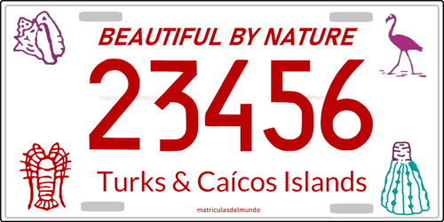 Matrícula de coche de Turks and Caicos Beautiful by nature 23456 animal
