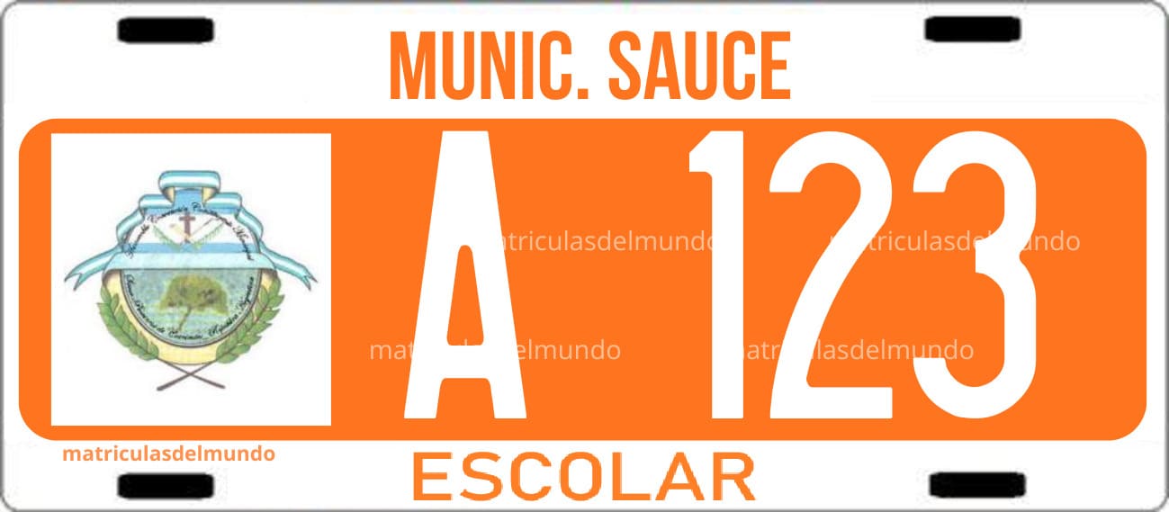 Ejemplo de matrícula argentina antigua de transporte escolar con fondo naranja