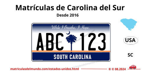 Matrícula antigua de Carolina del Sur con diseño clásico de palmera y luna