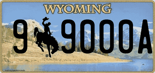 Matrícula de coche americana de Wyoming con caballo y vaquero actual
