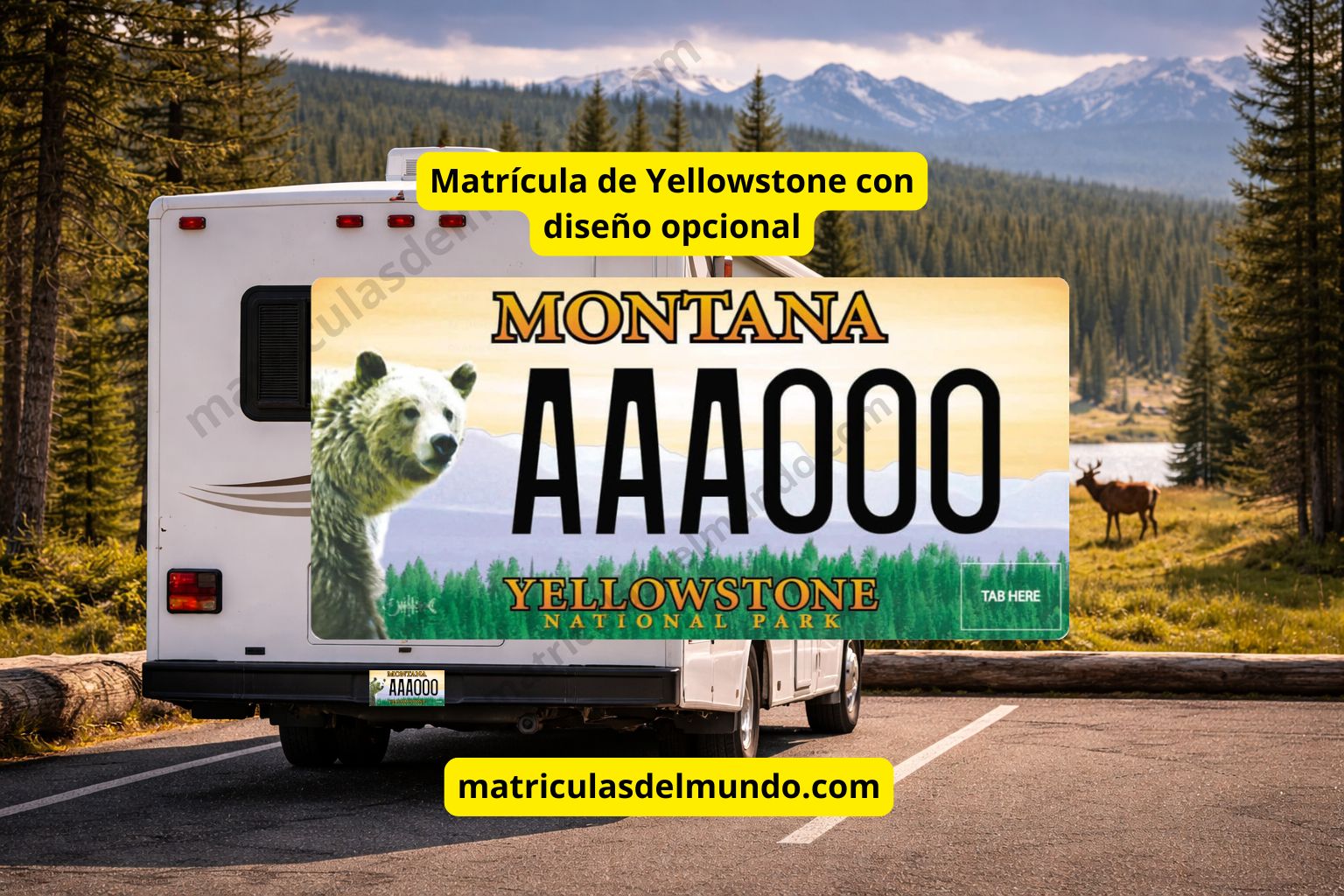 Matrícula de Montana con diseño Yellowstone National Park y oso, formato personalizado de Estados Unidos