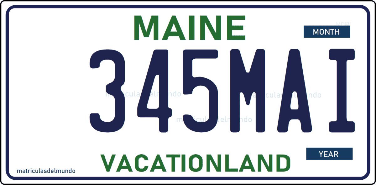 Imagen de las neuvas matrícula de Maine blanca