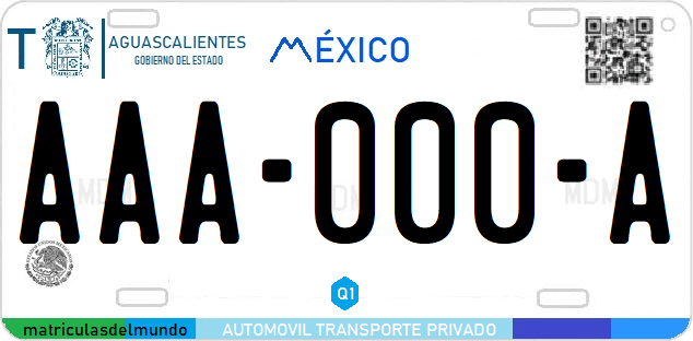 como es placa matricula de Aguascalientes trasea ejemplo