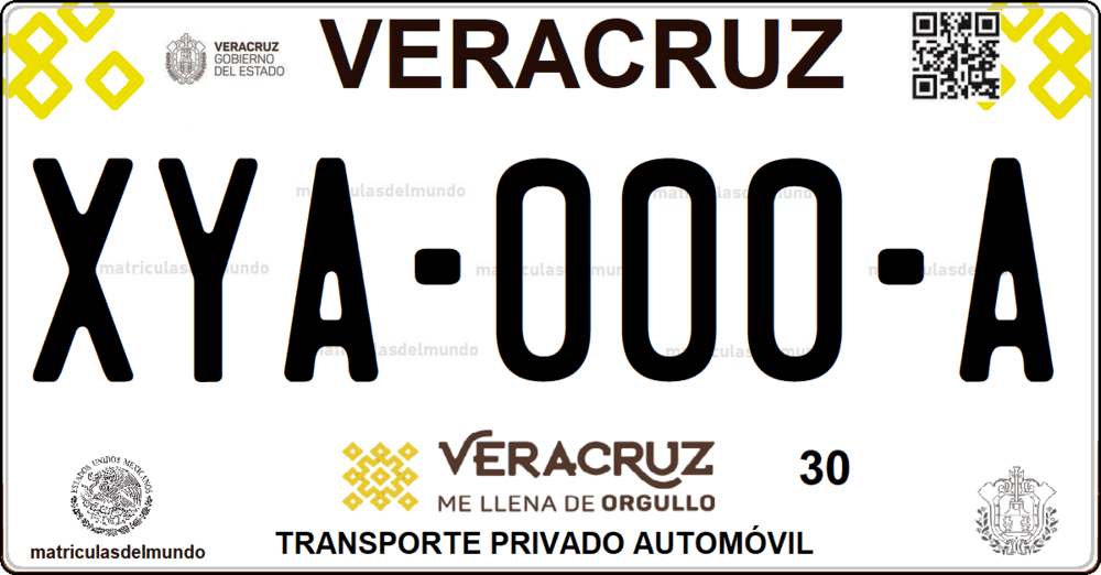 Placa de matrícula de Veracruz me llena de orgullo 30 matriculasdelmundo