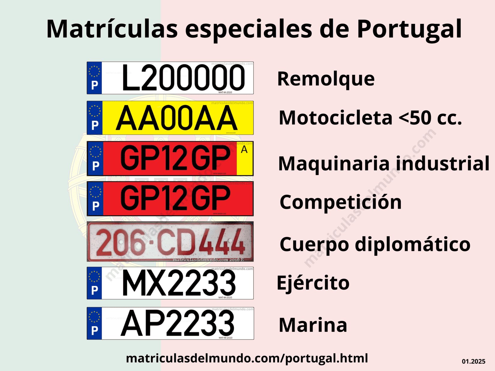 Imagen con tipos de matrículas especiales de Portugal y explicación