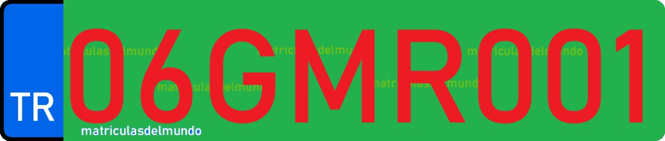 Dibujo ejemplo de matrícula de Turquía de aduanas