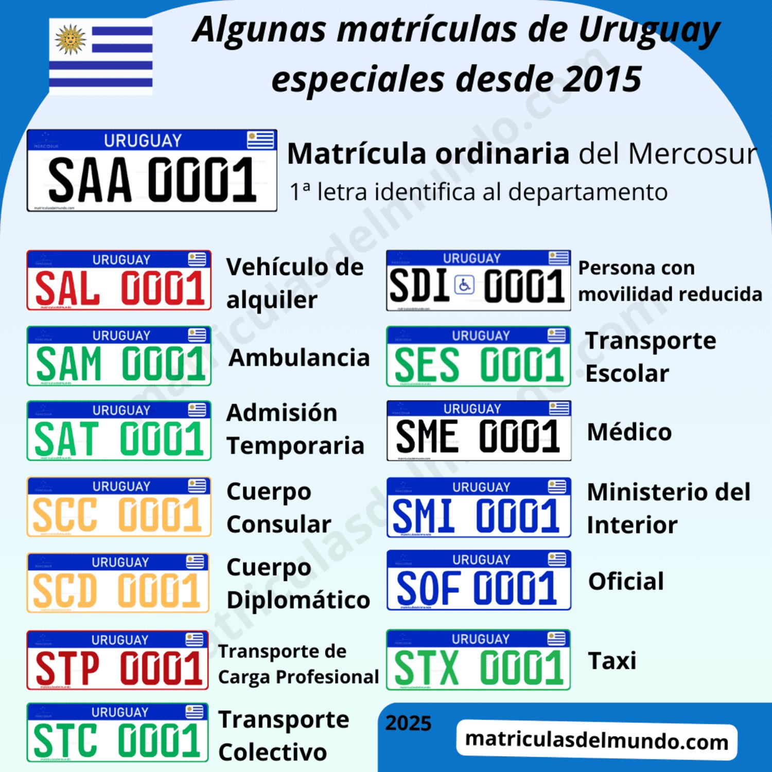 Listado de matrículas especiales de Uruguay en detalle