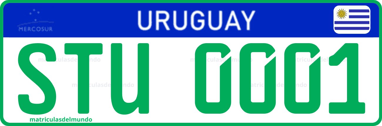 Matrícula especial de Uruguay actual del Mercosur para trasnporte turismo de Montevideo