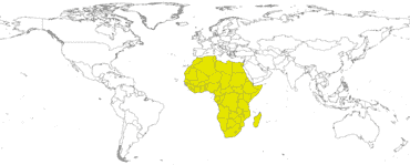 Matrícula de coche de  FRICA