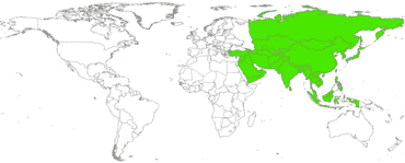 Matrícula de coche de  ASIA